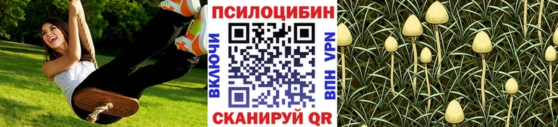 MEGA вход  Никольское  Псилоцибиновые грибы прущие грибы 