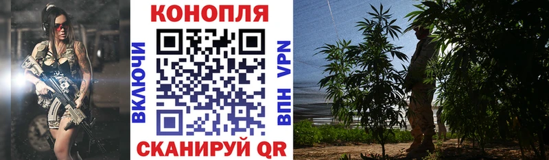 мега онион  площадка Telegram  Канабис Ganja  Никольское 